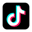 TikTok growth service